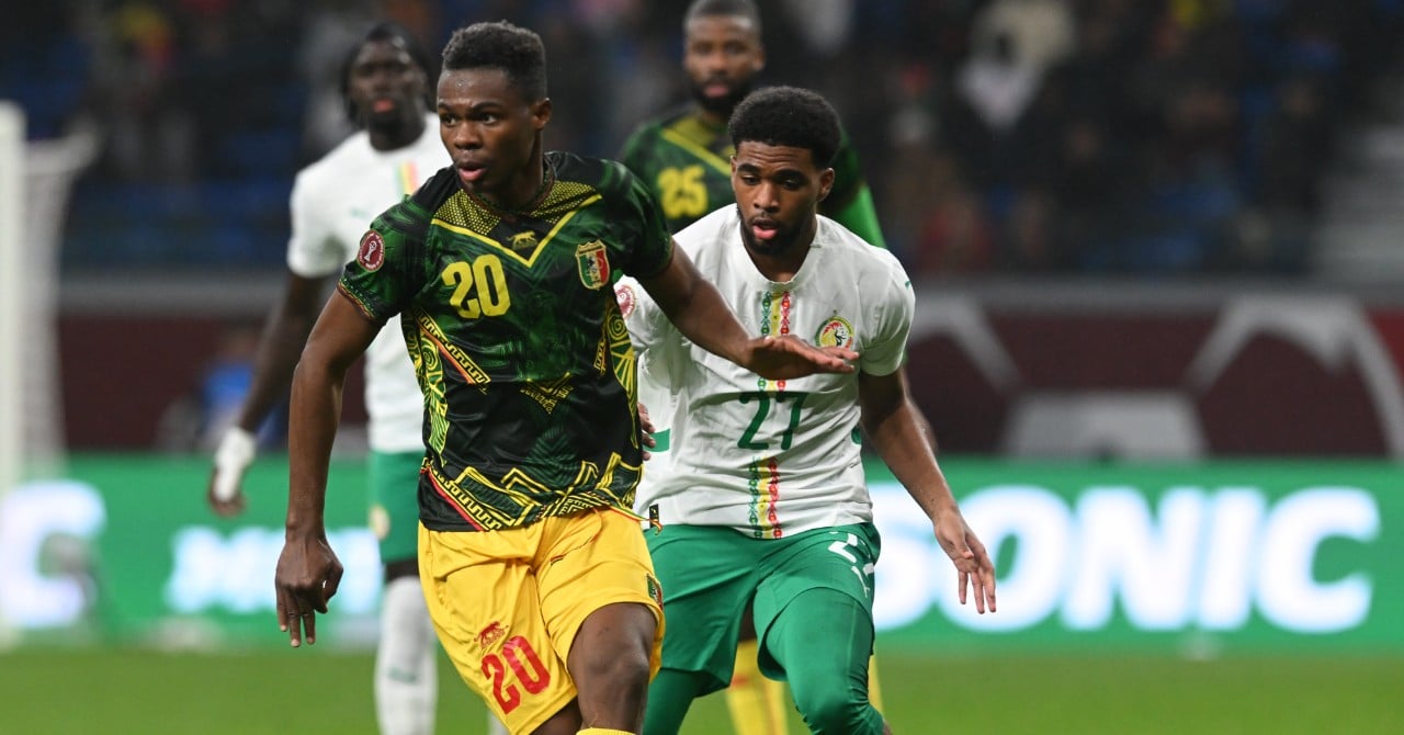 Mali national team parts ways with coach Tom Saintfiet