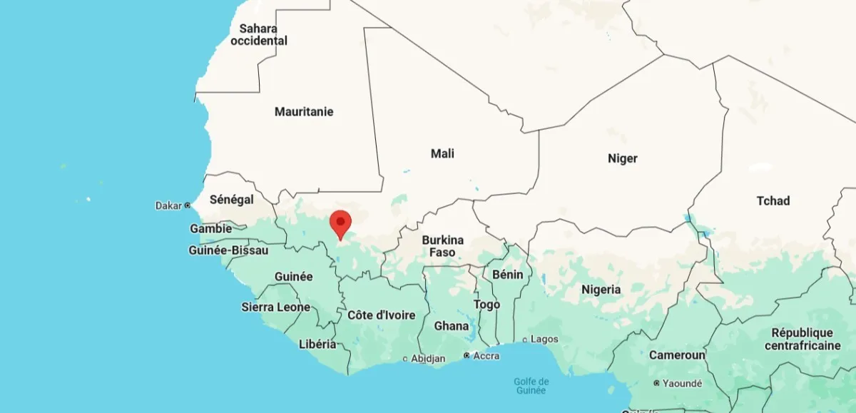 Mali protest Bamako against military regime's party ban
