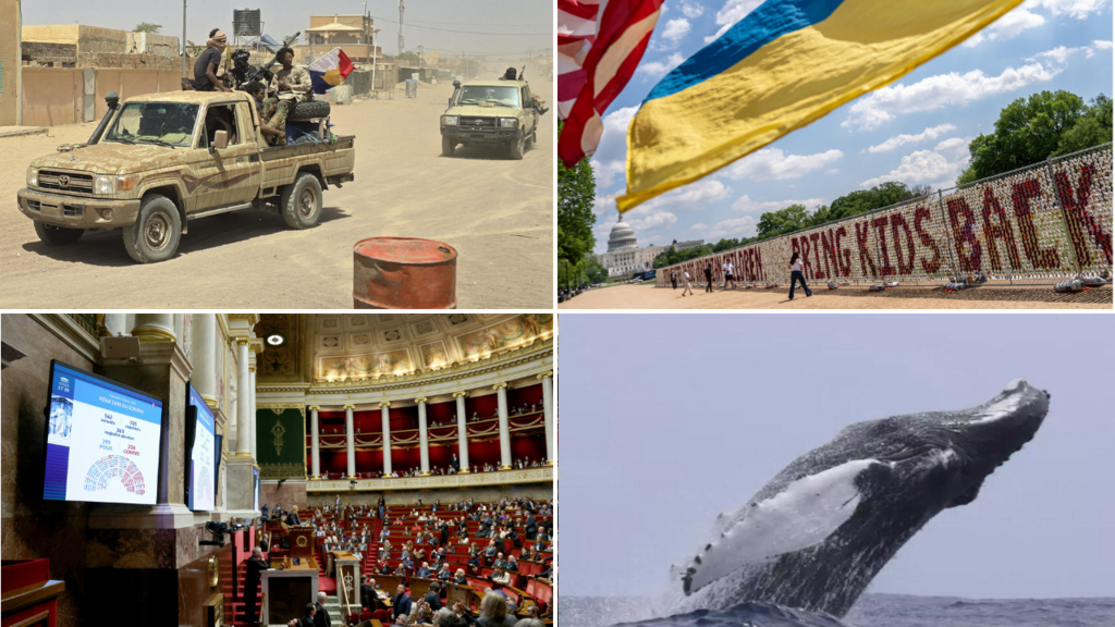 a photomontage illustrating the alliance dynamics in Mali