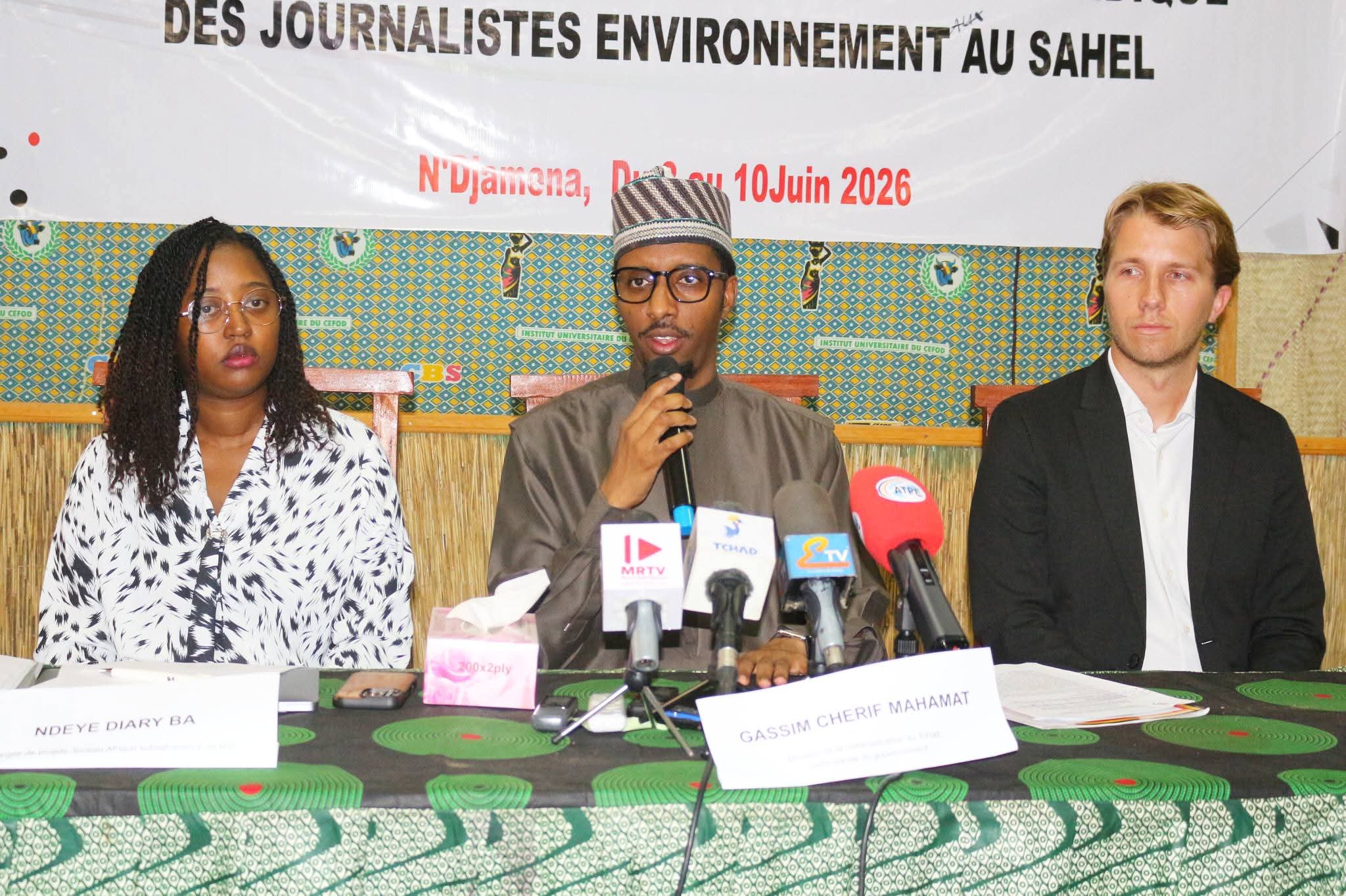N’Djamena hosts regional workshop to strengthen legal protection for environmental journalists