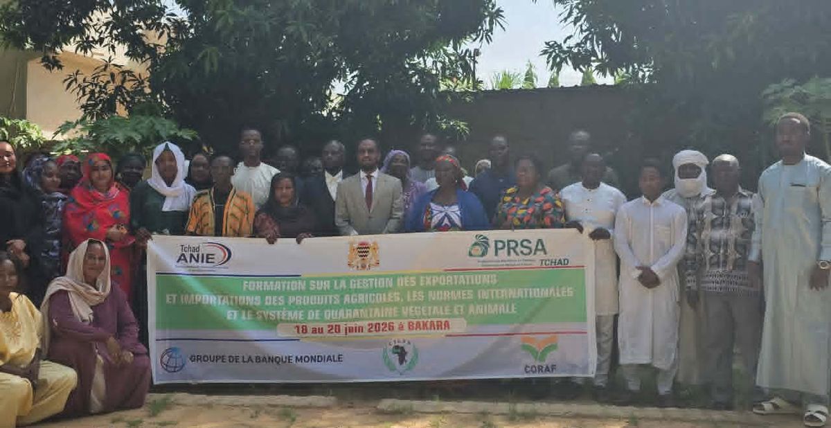 Tchad : renforcement des capacités pour une meilleure gestion des exportations agricoles