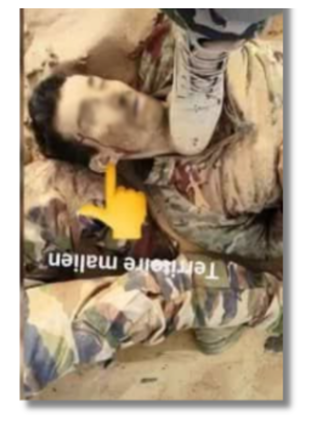 Investigators reconstructed the scene from misleading posts by analyzing body positioning, facial features, and camouflage patterns.