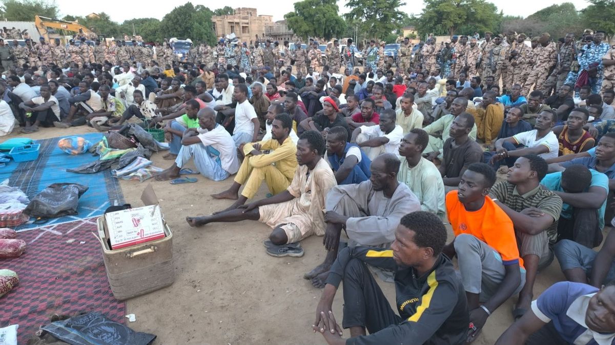 Police operation in N'Djamena leads to 252 arrests
